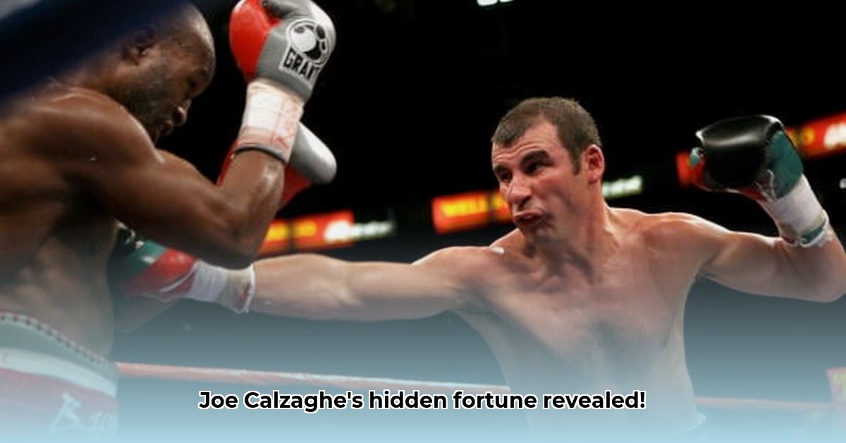 joe-calzaghe-net-worth